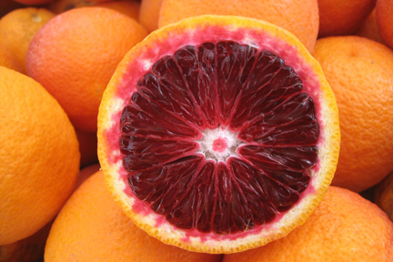 Blood Orange French 75 Blood Orange French 75
