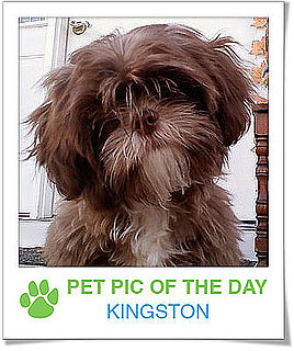 Pet Pics on PetSugar 2009-01-15 09:30:37