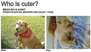 Sugar Shout Out: Can You Decide Who's Cuter?  