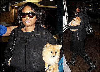 Photos of Jennifer Hudson with Her Dog in Tampa for Super Bowl