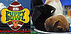 Petsugar Weekly Recap 2009-01-31 02:00:19