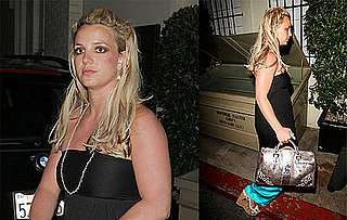 Jamie Spears Gets Paid to Be Britney's Co-Conservator