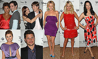 Red Carpet Photos of ABC Stars Including Lucy Liu, Nick Lachey, Kate Walsh