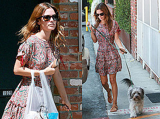 Photos of Rachel Bilson Out in LA with Her Dog Thurman Murman