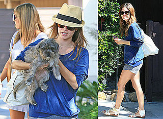 Photos of Rachel Bilson With Her Dog, Heading to Burbank Airport
