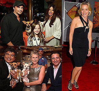 Beverly Hills Chihuahua Hits LA With Its Tail Wagging