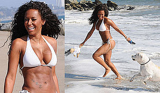 Photos of Bikini-Clad Melanie Brown Playing With Her Dog on Santa Monica Beach