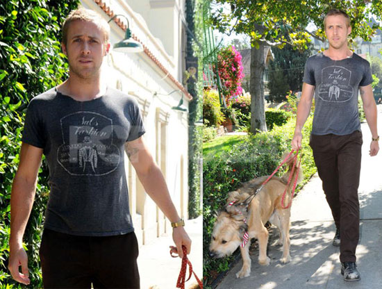 Ryan Gosling Walks His Dog