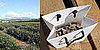 Sugar Shout Out: Touring Chanel's Jasmine Fields in France