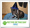 Pet Pics on PetSugar 2008-11-14 09:30:20