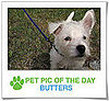Pet Pics on PetSugar 2008-12-04 09:30:38