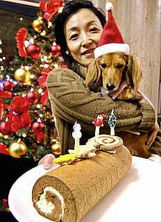 Petsugar Weekly Recap 2008-12-13 03:00:24