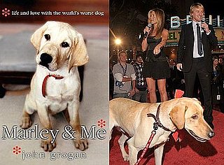 Did You Read Marley & Me?