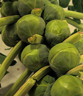Learn to Love: Brussels Sprouts 