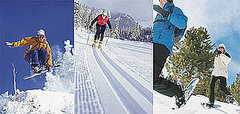 Calling All Snow Bunnies: Test Your Winter Sport Smarts Calling All Snow Bunnies: Test Your Winter Sport Smarts