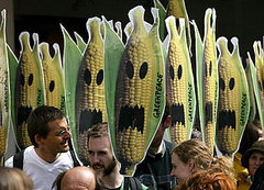 Another Reason to Avoid High Fructose Corn Syrup: Mercury