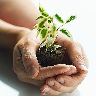 Celebrate the Day With an Earth Day Quiz