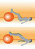 Get on the Ball: Straight Leg Bridge With Ball