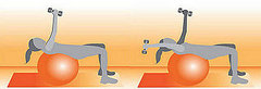 Get on the Ball: No Crunch Abs