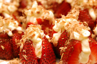 Healthy Dose Link Time