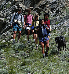 Rant About Dog Poo on the Hiking Trail