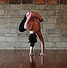 Strike a Yoga Pose: Standing Half Bound Lotus Forward Bend