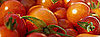 5 Things About Tomatoes