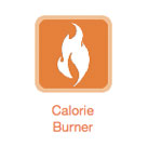 Learn Your Burn