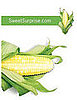 More on High Fructose Corn Syrup