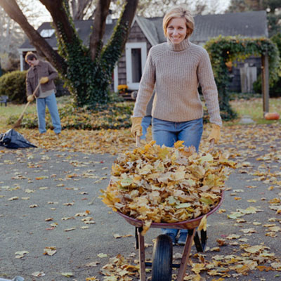 Burn It Up in the Autumn Breeze Burn It Up in the Autumn Breeze