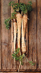 Learn to Love Parsnips Learn to Love Parsnips