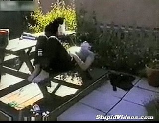 Bad Kitty!