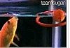 Cute Alert: Goldfish Plays an Array of Sports