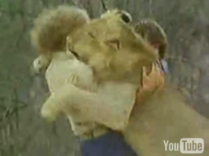 Cute Alert: Lion Has Two Daddies