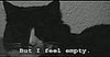 Cat Fur-losophy 