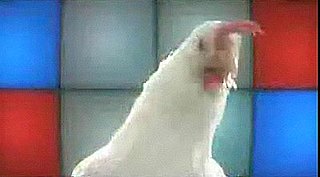 Techno Chicken Rules!