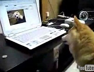 Just Watch This and You Will Explode