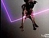 Best Music Video Ever