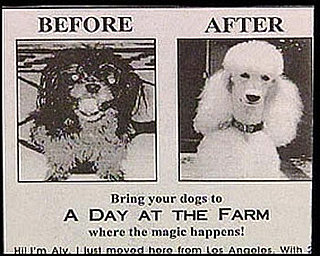 Before and After