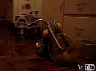 Hamster Motorcycle