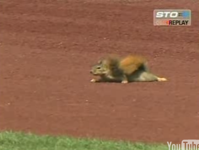 Squirrel Disrupts Baseball Game