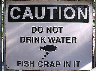 Straight and to the Point