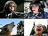 Remix of William Shatner Driving