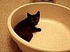 Happy Caturday!