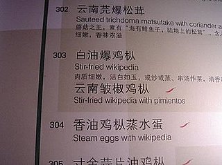 Fire the Translator!
