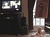 Dog Sings Opera Music