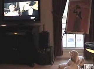 Dog Sings Opera Music
