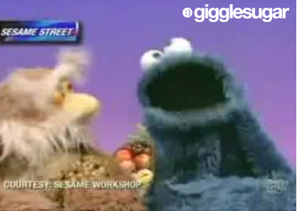 Cookie Monster on The Colbert Report