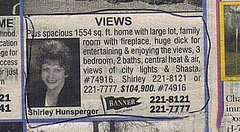 Funny Real Estate Ad