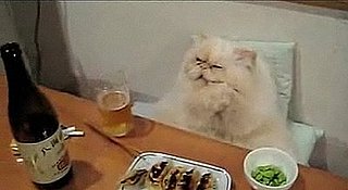 Happy Caturday!